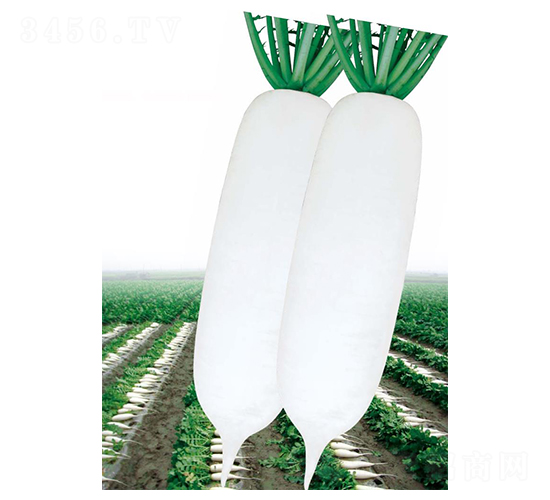 ��ѩ301-�}���N��-��(y��u)���r(n��ng)�I(y��)