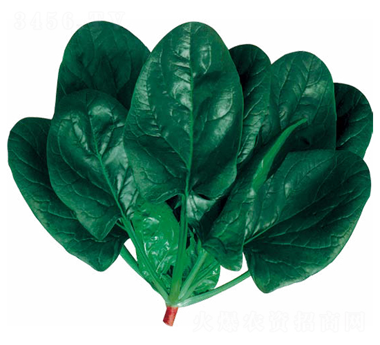 ��ʿ�D-���˷N��-��(y��u)���r(n��ng)�I(y��)