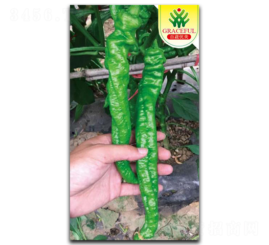 ���L(f��ng)����-�����N��-��(y��u)���r(n��ng)�I(y��)