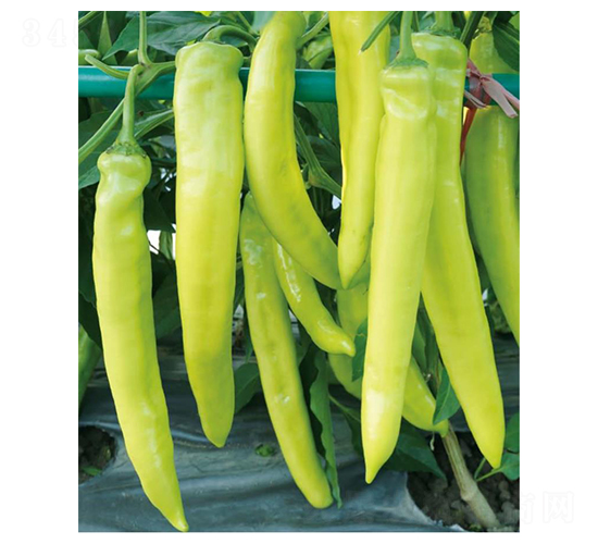 ���S-�����N��-��(y��u)���r�I(y��)