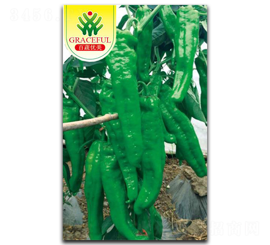 ̩ɽ-�����N��-��(y��u)���r(n��ng)�I(y��)