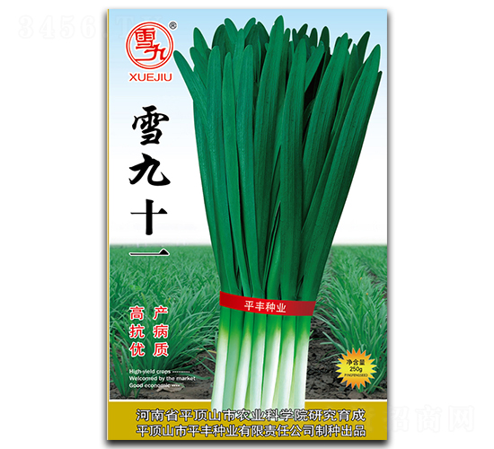 雪九十一-韭菜種子-平豐種業(yè)