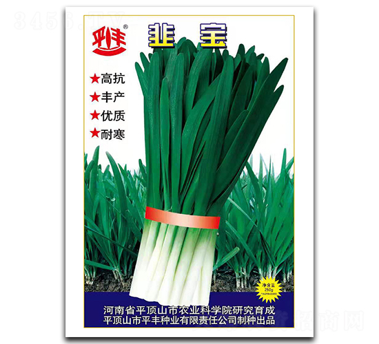 ��-�²˷N��-ƽ�S�N�I(y��)