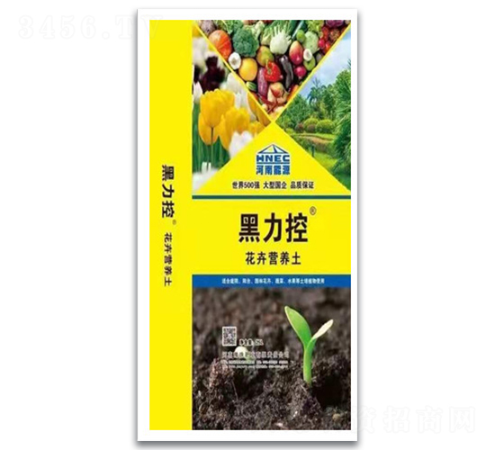 ���ܠI�B(y��ng)��-������-ԥ��ʘI(y��)