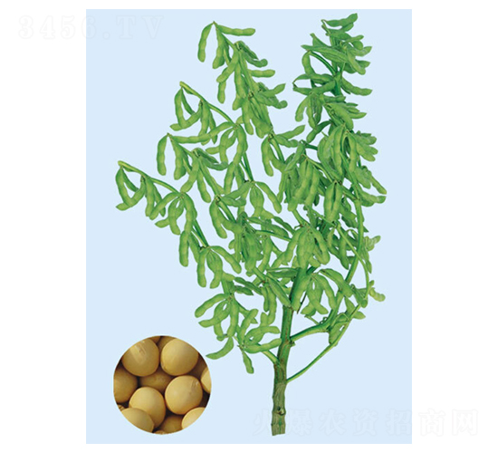 �_(t��i)��292-ë���N��-���S�N�I(y��)