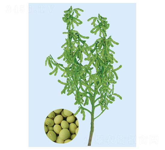 �_(t��i)��75-3-ë���N��-���S�N�I(y��)