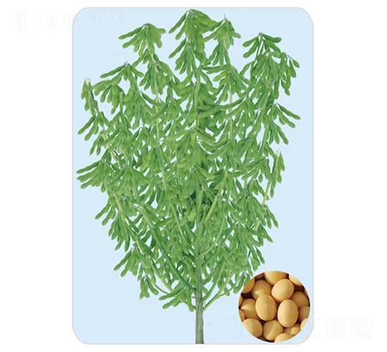 �_��18-�󶹷N��-���S�N�I(y��)