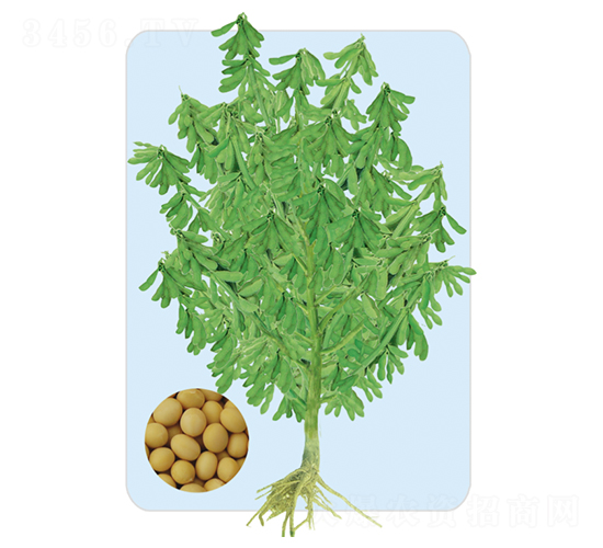 �|��34-�󶹷N��-���S�N�I(y��)