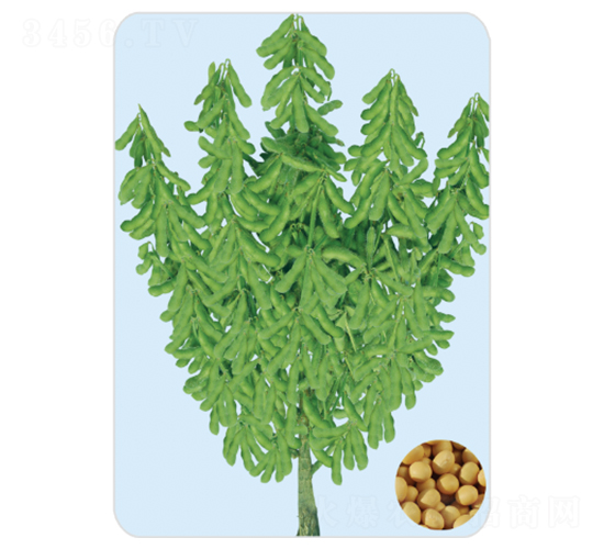 �|��36-�󶹷N��-���S�N�I(y��)