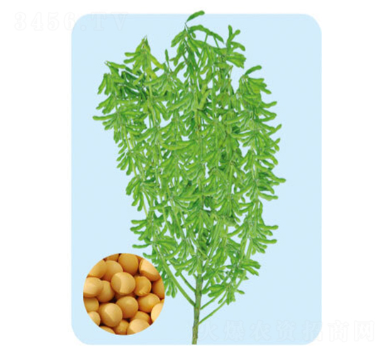 �F��69-�󶹷N��-���S�N�I(y��)