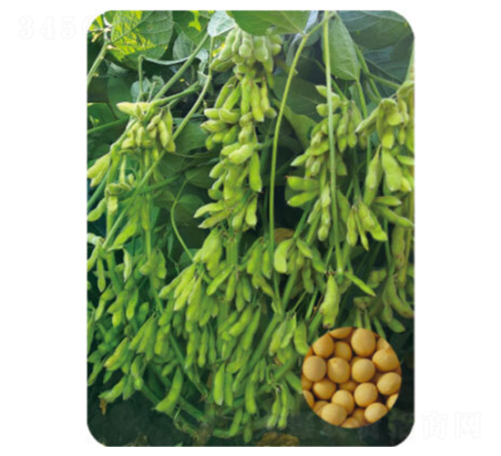 �F��67-�󶹷N��-���S�N�I(y��)