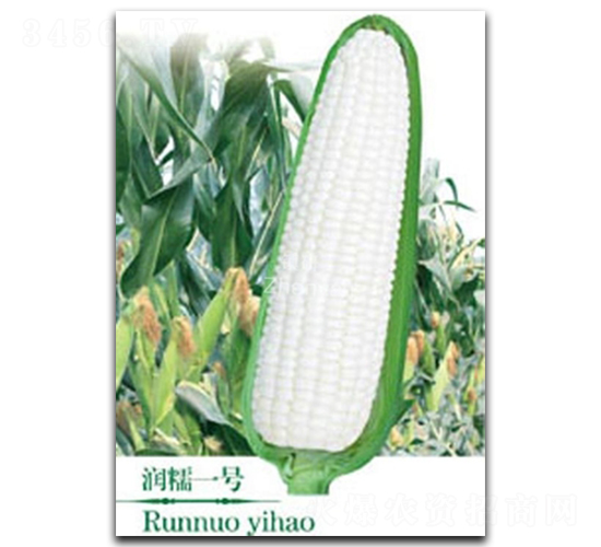 ��(r��n)Ŵһ̖(h��o)-Ŵ���׷N��-�(zh��n)�зN�I(y��)