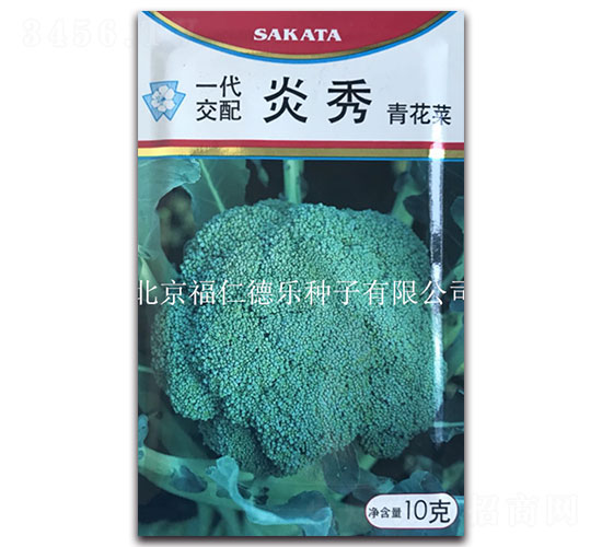 ����-���m���N��-���ʵ�