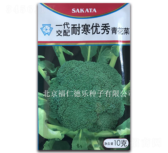 10g�ͺ���(y��u)��-���m���N��-���ʵ�(l��)