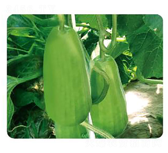 �ȃ�(y��u)����-�����J�N��-�ȃ�(y��u)�_(d��)