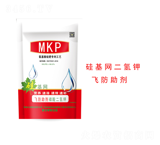 ������w������-����W(w��ng)-�����