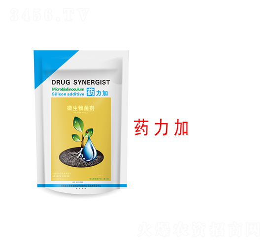 ΢�������-ˎ����-�����