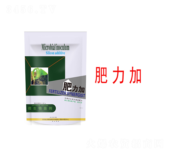 ΢�������-������-�����