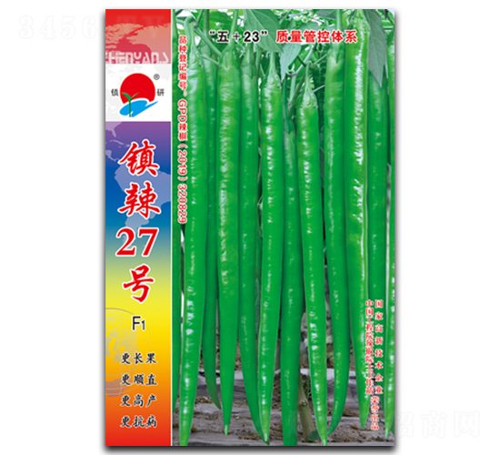 鎮(zhèn)辣27號(hào)-線椒種子-鎮(zhèn)研種業(yè)