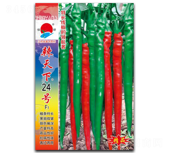 辣天下24號-線椒種子-鎮(zhèn)研種業(yè)