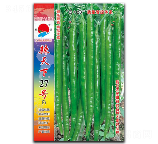 辣天下27號-線椒種子-鎮(zhèn)研種業(yè)