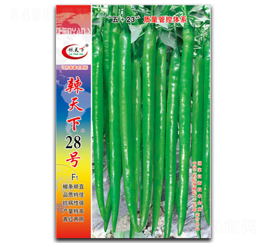 ������28̖-�����N��-�(zh��n)�зN�I(y��)