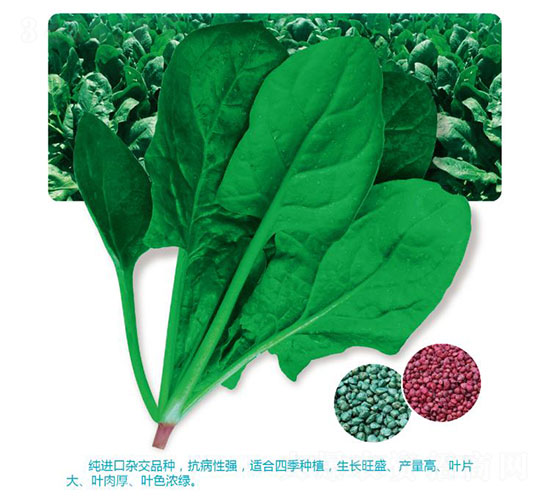 ���˷N��-�ȃ�(y��u)�_(d��)