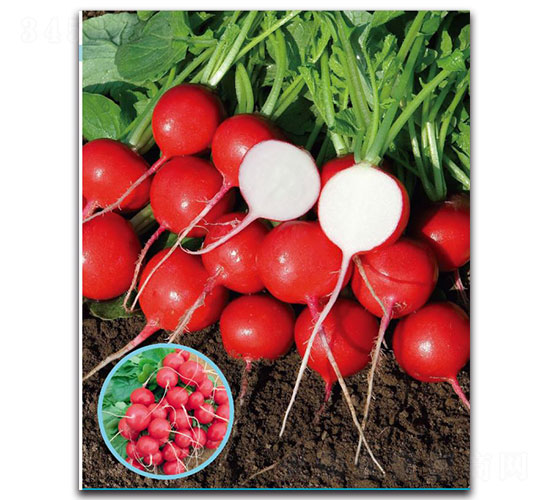 ���-�}���N��-�ȃ�(y��u)�_(d��)