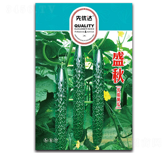 盛秋-黃瓜種子-先優(yōu)達(dá)