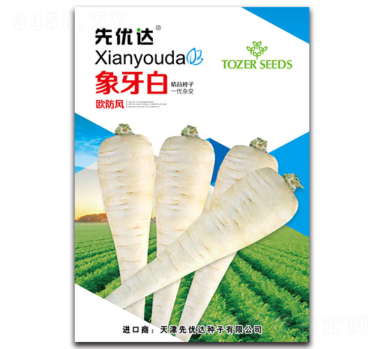 象牙白-蘿卜種子-先優(yōu)達