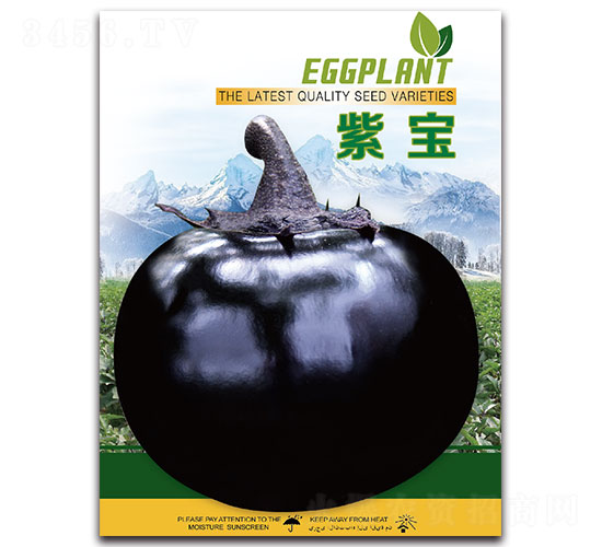 紫寶-茄子種子-先優(yōu)達