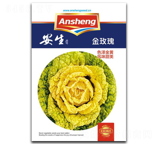 ��õ��-��˷N��-����