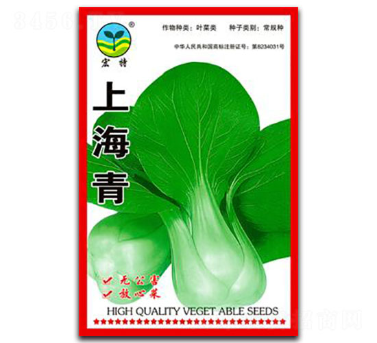 �Ϻ���-�๣�˷N��-����