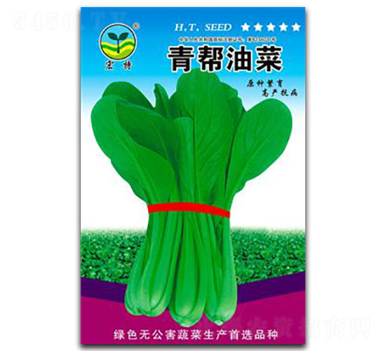 �����Ͳ�-�๣�˷N��-����