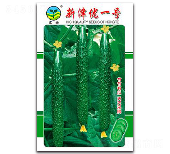 新津優(yōu)一號(hào)-黃瓜種子-宏特
