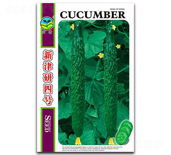 新津研四號-黃瓜種子-宏特