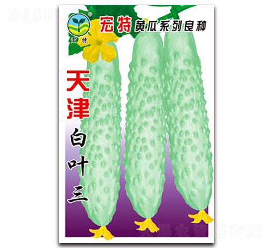 天津白三葉-黃瓜種子-宏特
