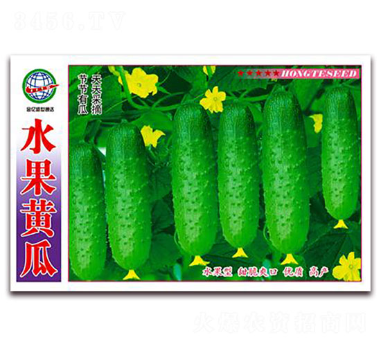 水果黃瓜-黃瓜種子-宏特