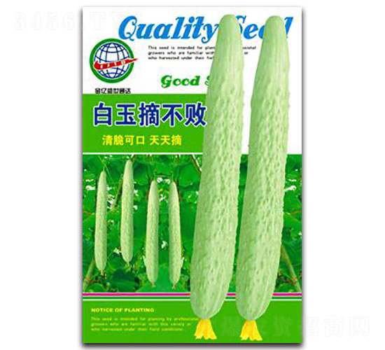 白玉摘不敗-黃瓜種子-宏特