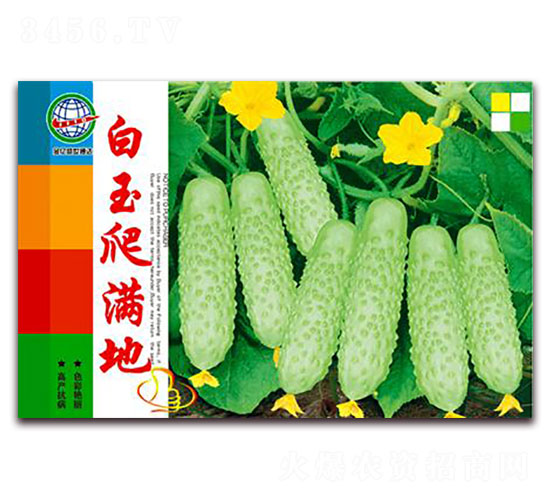 白玉爬滿地-黃瓜種子-宏特