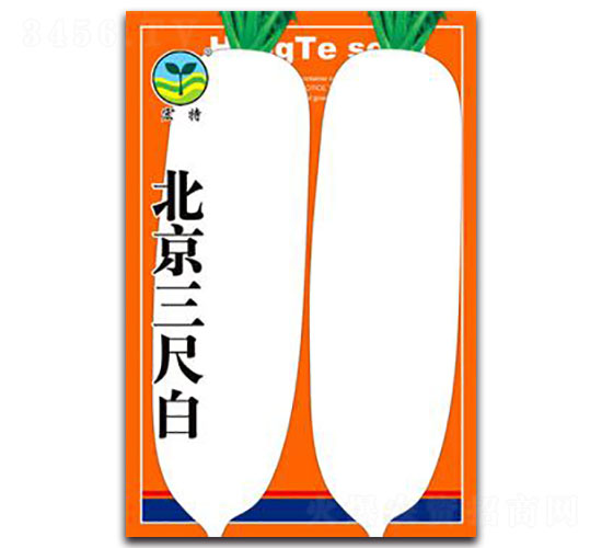 �������߰�-�}���N��-����