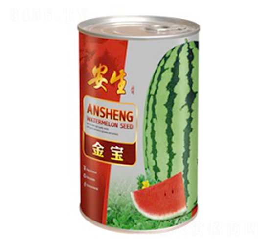 ����-���ϷN��-����