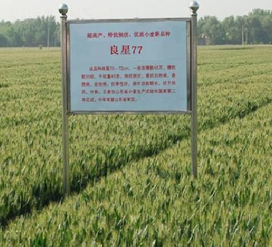 ����77-С���N��-���ǷN�I(y��)