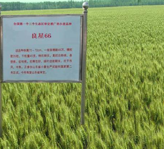 ����66-С���N��-���ǷN�I(y��)