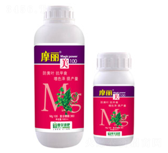 Ħ����-ħ��Һ��