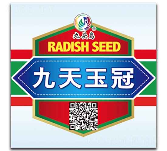 �������-�}���N��-���^�B