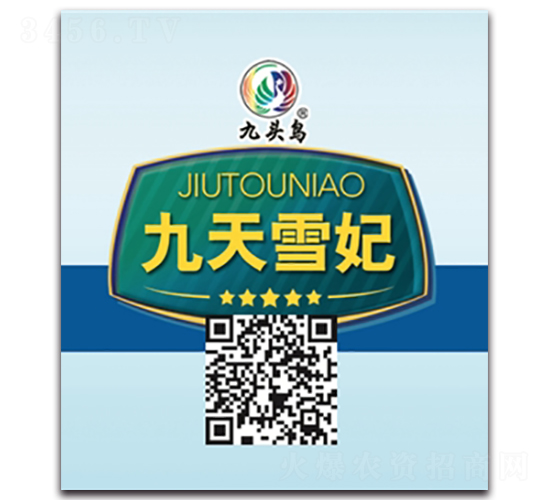 ����ѩ��-�}���N��-���^�B