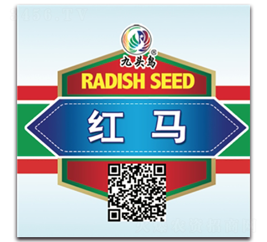 �t�R-�}���N��-���^�B(ni��o)