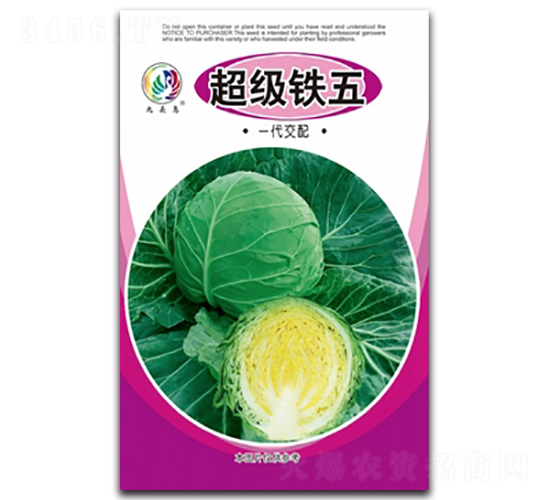 �����F��-���{(l��n)�N��-���^�B