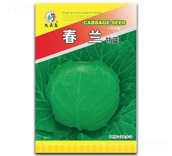 春蘭甘藍-甘藍種子-九頭鳥